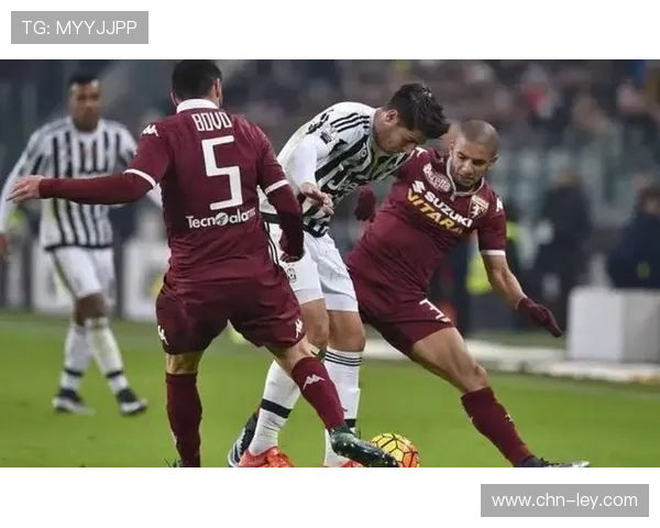 足球成意大利社会重要组成部分，84%成年人关注该项运动